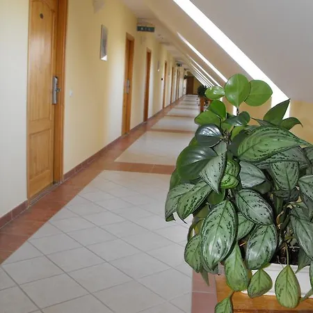 Hotel Jozsi Bacsi Szallodaja 3*