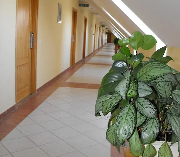 Hotell Jozsi Bacsi Szallodaja 3*