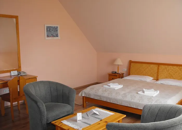 Hotell Jozsi Bacsi Szallodaja Balogunyom
